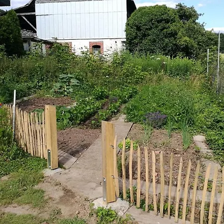 Дом отдыха Ferienhaus Schwalbennest *
