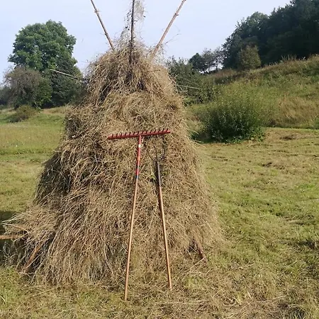 Ferienhaus Schwalbennest Дом отдыха *